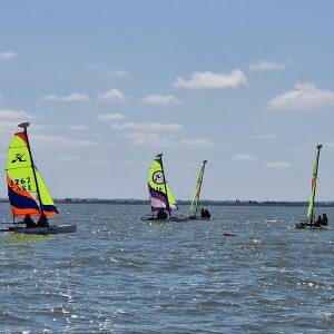 Stage Hobbie Cat Catsy