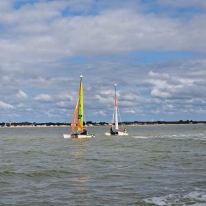 Stage Hobie Cat Dragoon