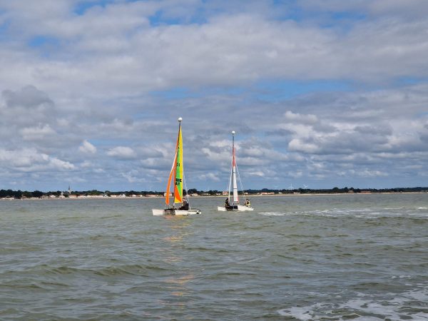 Stage Hobie Cat Dragoon